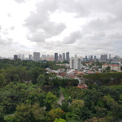 Madison Residences (D10), Condominium #245941241
